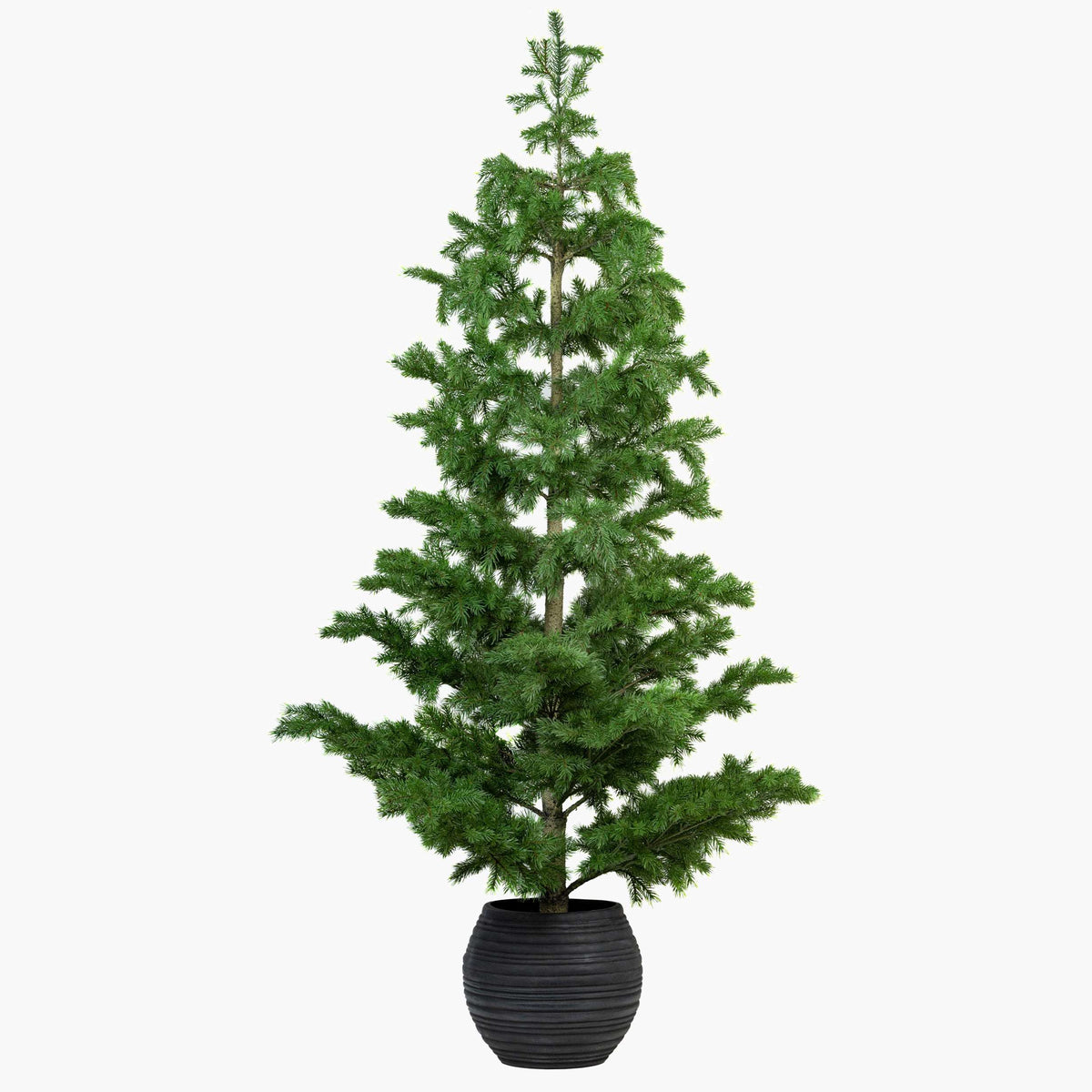 Pine Forest Christmas Tree (3ft)